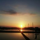 성인태양광발전소 이미지