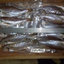 오늘의 생선 이미지