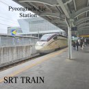 지제역(SRT) | 평택 지제역 SRT 열차 이용후기