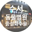 수서동물병원