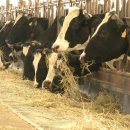 황골목장 이미지