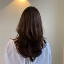 헤어블레스 이미지