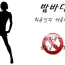 메를린 이미지