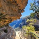 올(OR) | 시드니 여행 블루마운틴 스페셜 올데이 투어 (트랙킹 or 시닉월드)