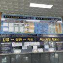 울릉도에서 독도 가는 날 후기 저동항 배편부터 독도 입도 성공까지
