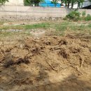 안양천 안양4교 이미지