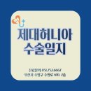 광안동물병원 이미지