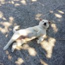 삼촌네PC 이미지