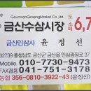 금산수삼센타7호