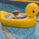 리멤버파크 이미지