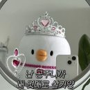 손주연푸드 | 세상은 우연으로 가득 차있는데