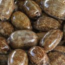 봉천 한의원 이미지