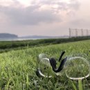 한강다목적운동장 축구장 이미지