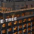 나인트리 바이 파르나스 서울 판교 이미지