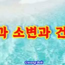 물과 소변과 건강 관계 이미지