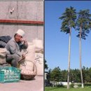 배낭 메고 세상 속으로＜우리나라 1＞ 이미지