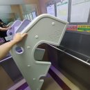 멍멍이를 부탁해 | 육아기록) 11개월의 씩씩이_걸음마 성공! 그리고 조금 앞 당겨 한 그녀의 첫 생일파티 1️⃣🍒🎂🎉