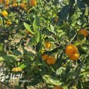 지승농장 이미지