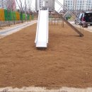 대구비슬초등학교 이미지