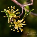 기타놀이 이미지