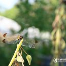 오영순농장 이미지