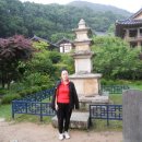 풍기소백산약국 이미지