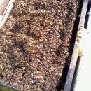 4월 셋째주 소망농장의 꿀벌관리 이미지