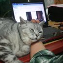 황토사랑민박 이미지