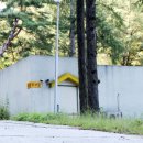 피노키오 자연휴양림 야영장 이미지