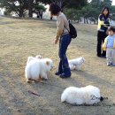 개스타하우스 이미지