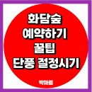 승리PC | 화담숲 예약하기 꿀팁 단풍 절정시기 예약 전쟁 승리 비법