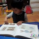 하이수아이