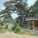 화산1리종점 Daum카페