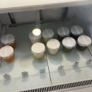 제주공항렌트카 이미지