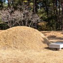 박경리기념관 이미지