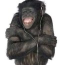 더(The) | 더 글로우 the glow 2026 후기