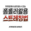 폼롤러 스트레칭 이미지