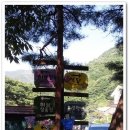 배내허브랜드 이미지