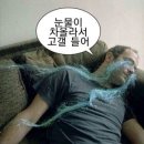 효정고등학교 | 빨갛게 무르익은 수박을 볼 수 있는 계절