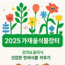 정글라