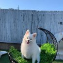 사나래글램핑장 이미지