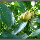 사암농장 이미지