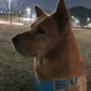 믿음반찬 이미지