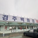 경주백화점대형약국 | 경주백화점약국 대형약국 주말여는약국 저렴한약국 내돈내산