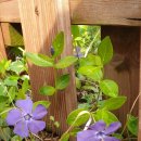 송인농장 이미지