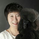 야옹아멍멍해봐 이미지