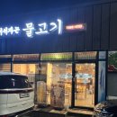 서서자는물고기 네이버블로그
