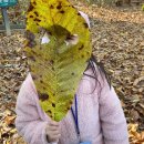 은새유치원 이미지