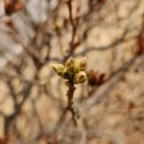 안견기념관 | [일상] 카라반 캠핑 2일차 충남 당진, 서산 여행 간단 후기