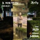 컴포즈 교리점 | 탐서가의 주간일기 168주차 (20250818~0824) - 계란김밥/여름이 가기전에 딱복/셀프테스트 100점